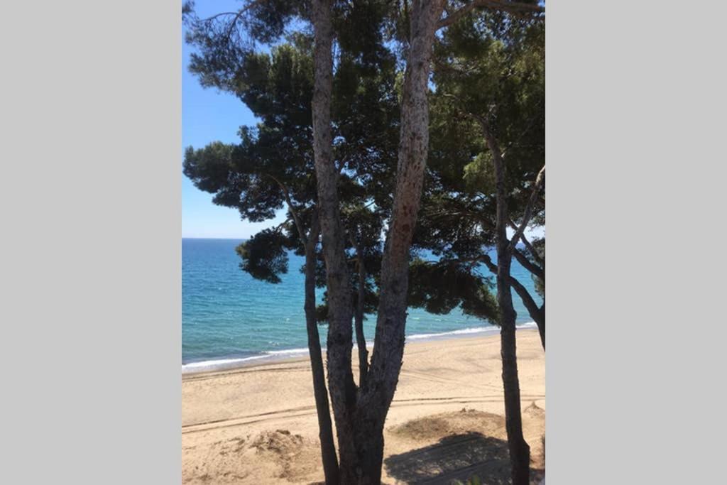 Bel Appartement Face A La Mer Miami Playa Bagian luar foto